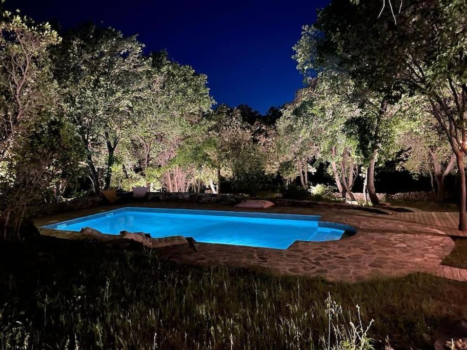 Bergerie Baracco Argia, Piscine, Maquis Et Tradition Corse Pour 6 Personnes Villa