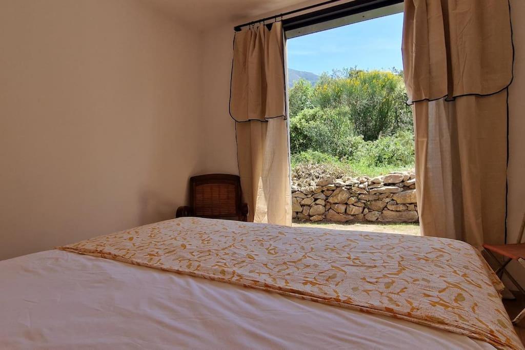 Villa Bergerie Baracco Argia, Piscine, Maquis Et Tradition Corse Pour 6 Personnes Barbaggio