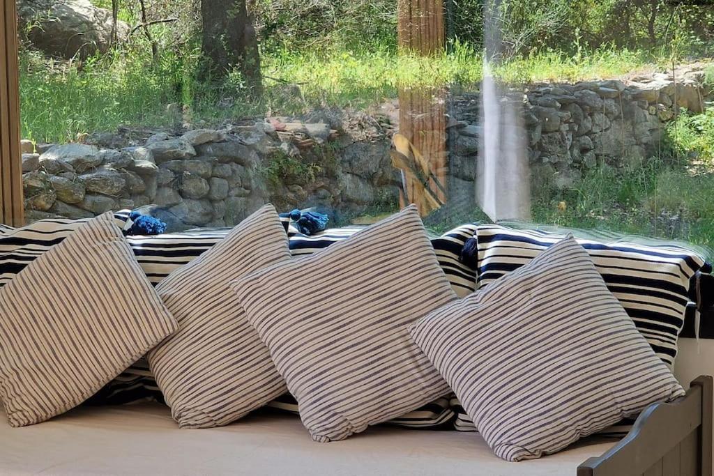 Bergerie Baracco Argia, Piscine, Maquis Et Tradition Corse Pour 6 Personnes Villa Barbaggio