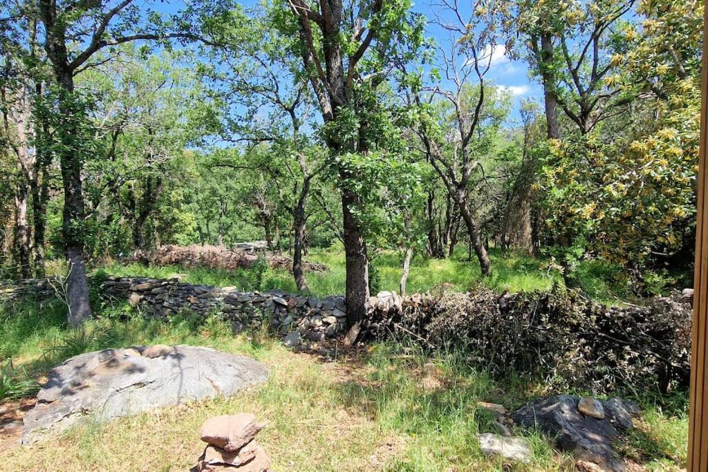 Bergerie Baracco Argia, Piscine, Maquis Et Tradition Corse Pour 6 Personnes Villa